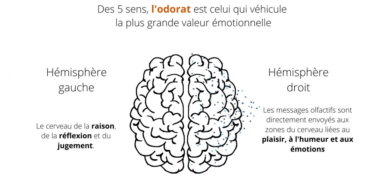 Marketing olfactif - ATMOSPHERE DIFFUSION - Marketing sensoriel