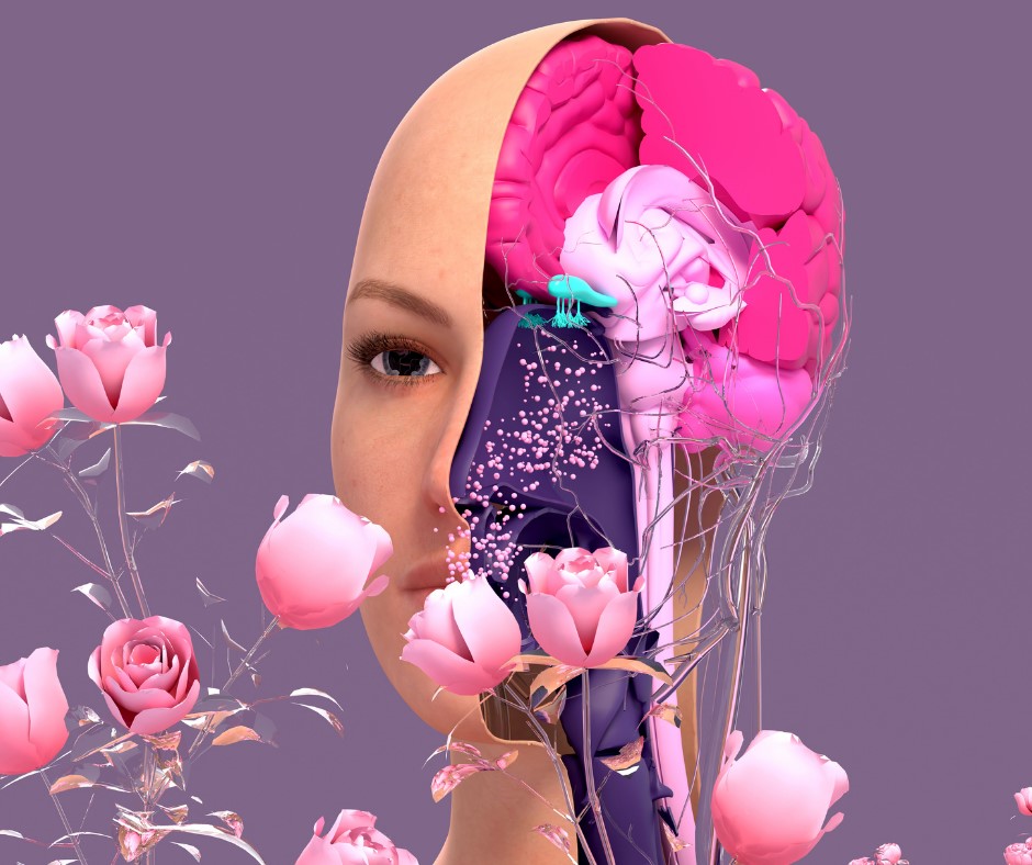 Thème 1 Blog 2