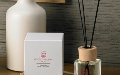 Pourquoi choisir un diffuseur professionnel plutôt qu’un parfum d’ambiance classique en hôtellerie ?