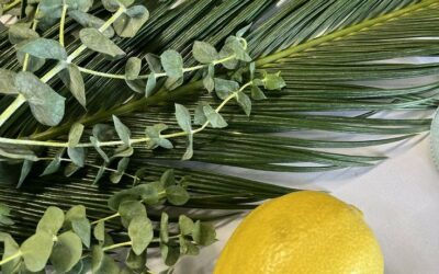 Comment le parfum peut-il influencer l’énergie et la motivation pendant l’effort physique ?